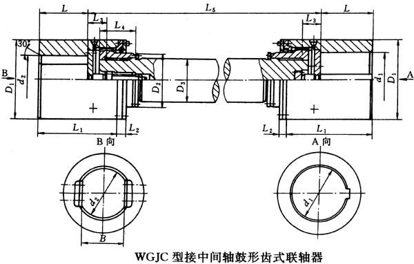 WGJ型接中間軸鼓形齒式聯(lián)軸器外形及安裝尺寸(JB/T8821-98)
