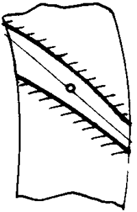 FX݆͜pX݆gZOӋӋc{Ӌ