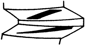 FX݆͜pX݆gZӹ݆X|zԇ