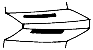 FX݆͜pX݆gZӹ݆X|zԇ