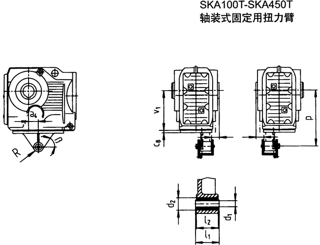 SK系列斜齒輪—蝸旋傘齒輪減速電機