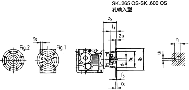 SK系列斜齒輪—蝸旋傘齒輪減速電機