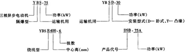 YBS系列運(yùn)輸機(jī)用隔爆型異步電動(dòng)機(jī)概述及結(jié)構(gòu)簡(jiǎn)介